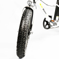 20" Rear Drive Motor Samsung Lithium Battery Fat Tyre Electric Bike for Children